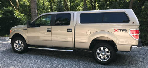 2010 Ford F-150 for sale at BORGES AUTO CENTER, INC. in Taunton MA