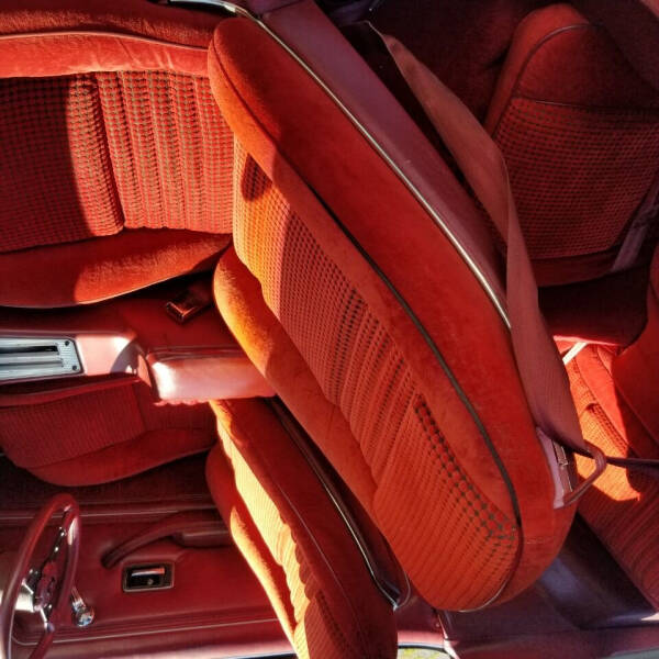 1980 Pontiac Firebird