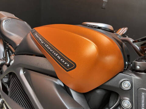 2020 Harley-Davidson® ELW - LiveWire™