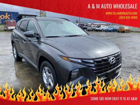 2023 Hyundai Tucson for sale at A & M Auto Wholesale in Tillamook OR