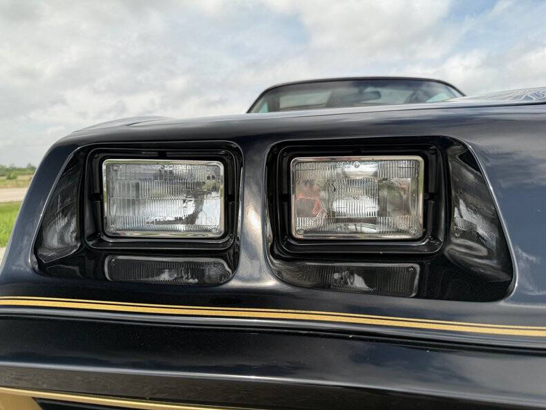 1981 Pontiac Firebird Trans Am