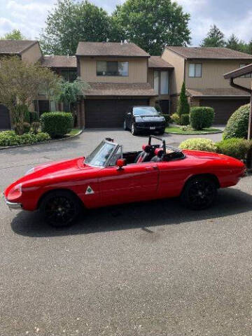 1969 Alfa Romeo Spider
