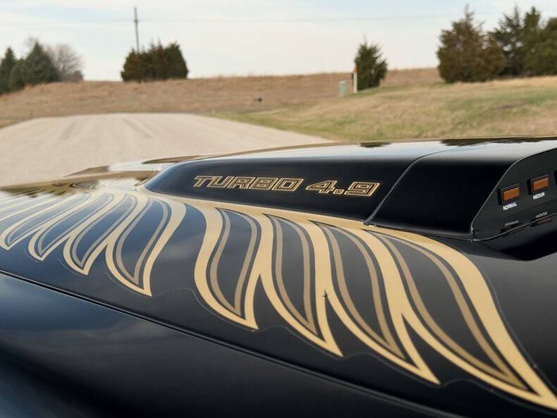1981 Pontiac Firebird Trans Am