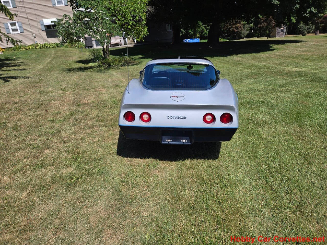 1981 Chevrolet Corvette 6