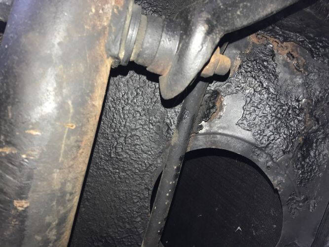 1955 Ford Thunderbird