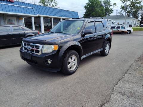 2010 Ford Escape for sale at RIDE NOW AUTO SALES INC in Medina OH