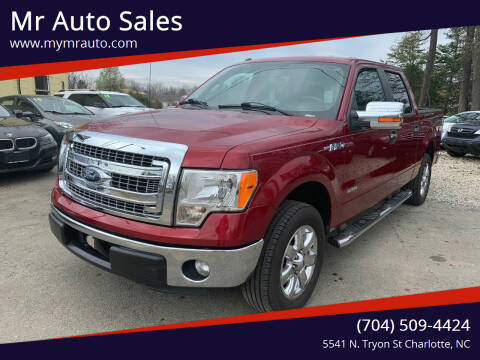 2013 Ford F-150 for sale at Mr Auto Sales in Charlotte NC