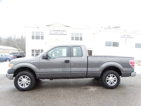 2010 Ford F-150 for sale at SOUTHERN SELECT AUTO SALES in Medina OH