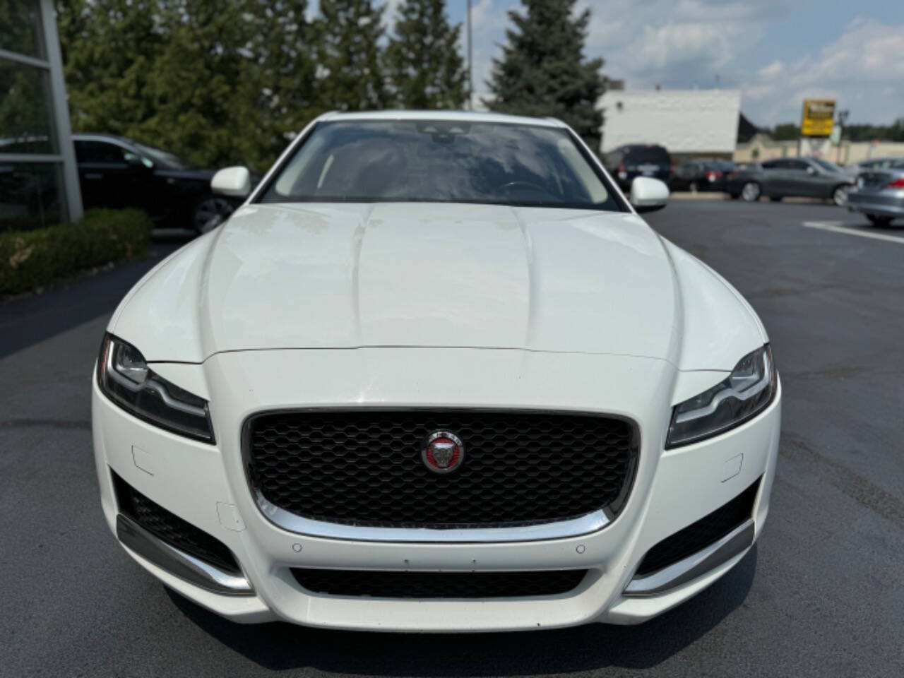 2017 Jaguar XF for sale at Opus Motorcars in Utica, MI