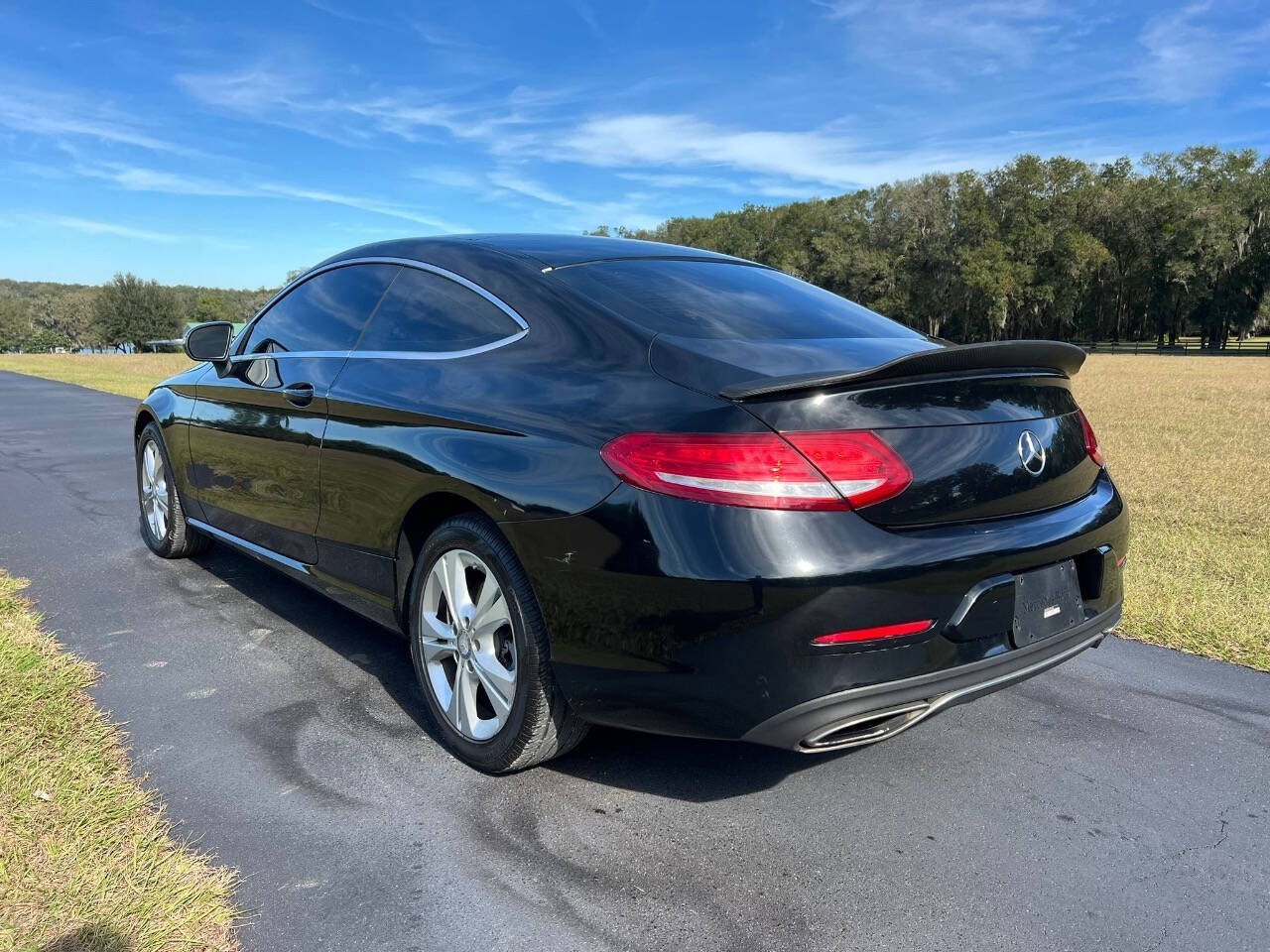 2017 Mercedes-Benz C-Class for sale at SOUTHERN AUTO WHOLESALERS in Deland, FL