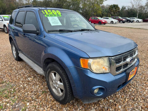2010 Ford Escape XLT