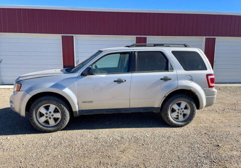 2008 Ford Escape for sale at TnT Auto Plex in Platte SD