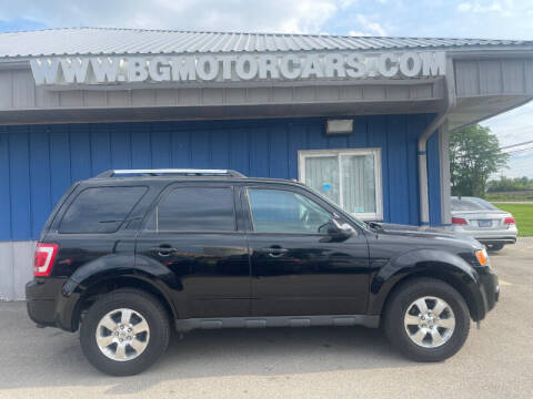 2012 Ford Escape for sale at BG MOTOR CARS in Naperville IL