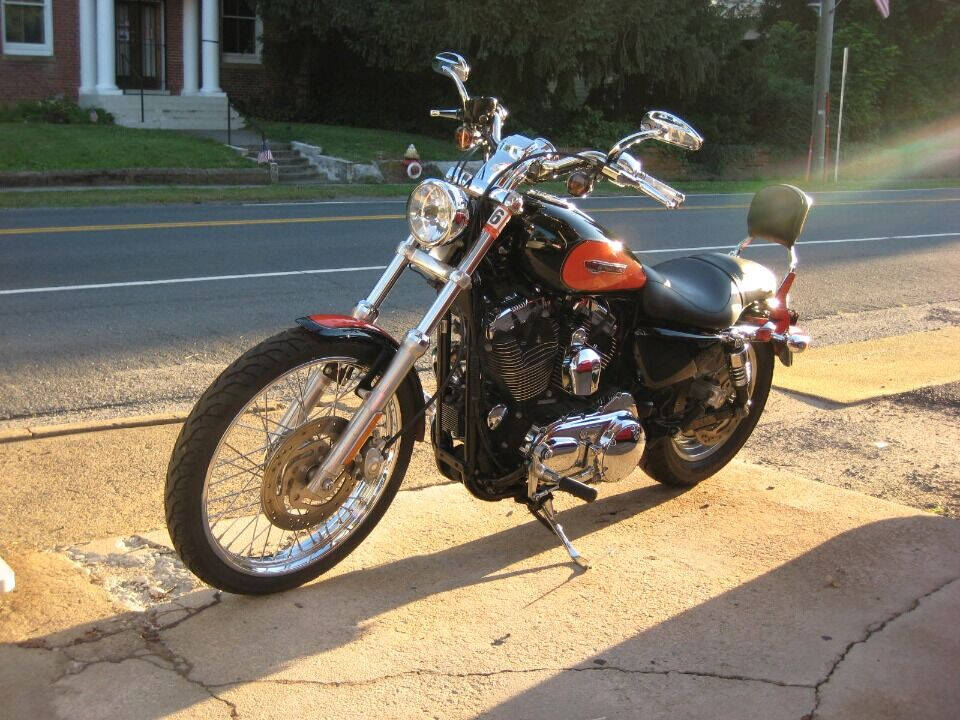 2009 Harley-Davidson Sportster 1200 Custom for sale at Auto Link Inc in Hamilton, VA