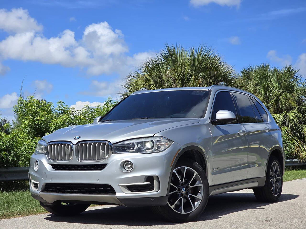 2017 BMW X5 for sale at All Will Drive Motors in Davie, FL