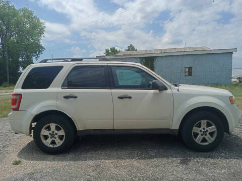 2009 Ford Escape XLT