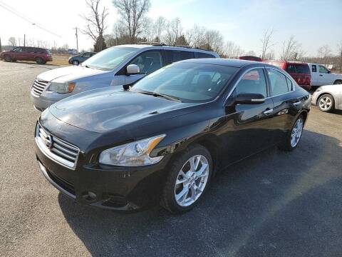 2014 Nissan Maxima for sale at Pack's Peak Auto in Hillsboro OH