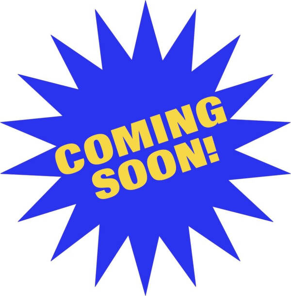 2019 Ford F-350 Super Duty XL