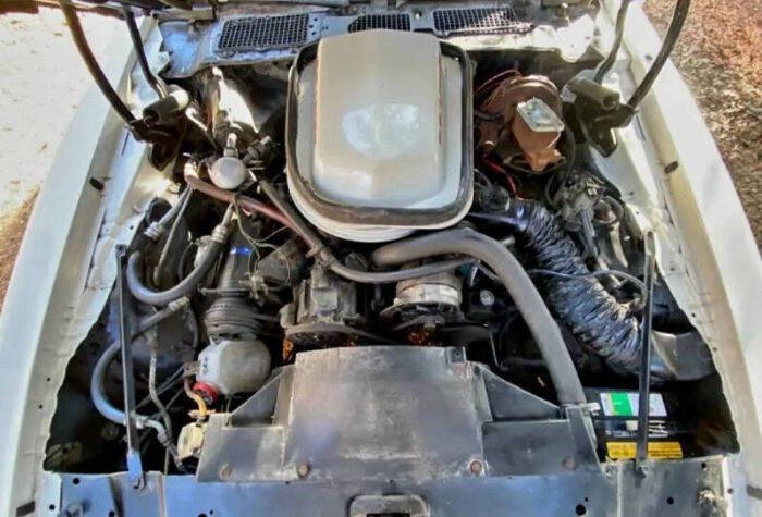 1979 Pontiac Trans Am