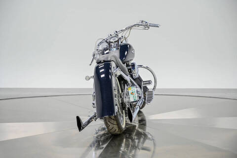 2009 Harley-Davidson FLTSN