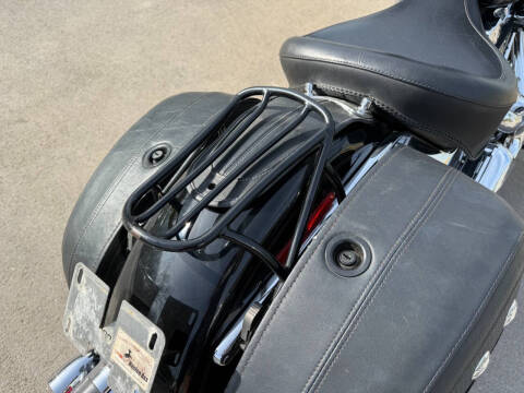 2008 Harley-Davidson FLSTN