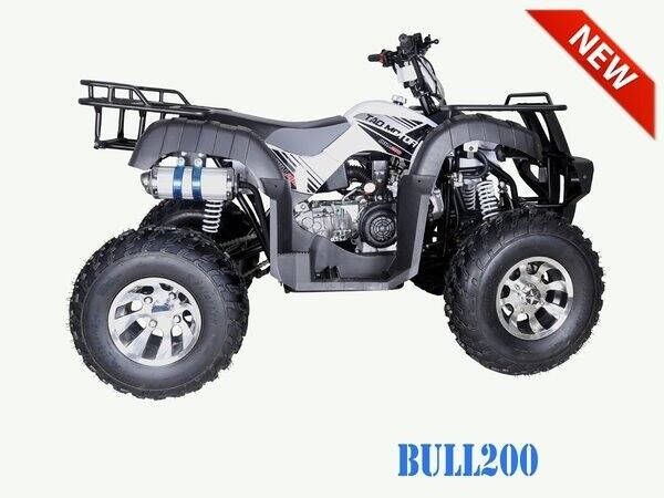 2023 TAO MOTOR BULL 200 for sale at Advanti Powersports in Mesa, AZ