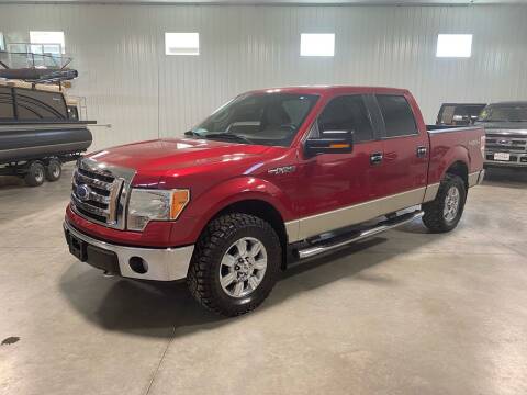 2009 Ford F-150 for sale at More 4 Less Auto in Sioux Falls SD