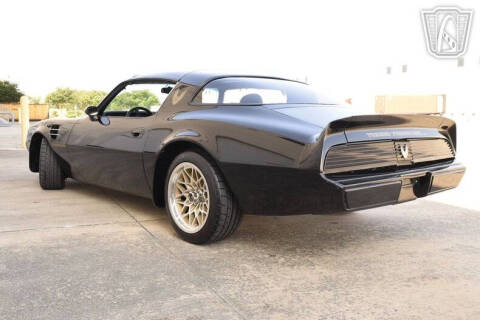 1981 Pontiac Firebird Trans Am