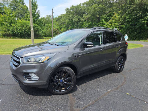 2017 Ford Escape for sale at Depue Auto Sales Inc in Paw Paw MI