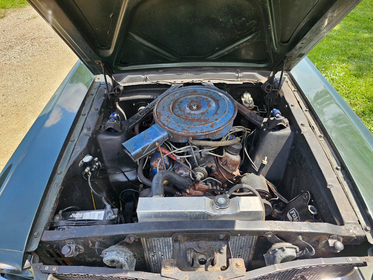 1965 Ford Mustang 169