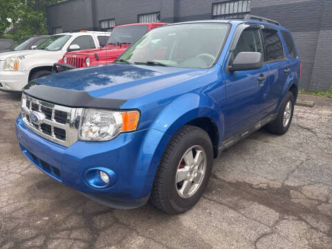 2011 Ford Escape XLT