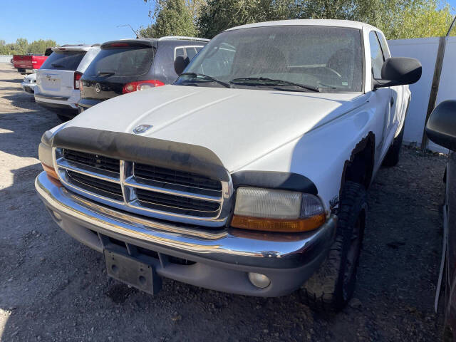 1999 Dodge Dakota for sale at Twin Cities Auctions in Elk River, MN