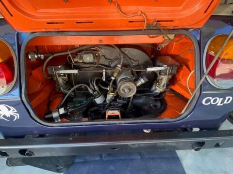 1973 Volkswagen Thing