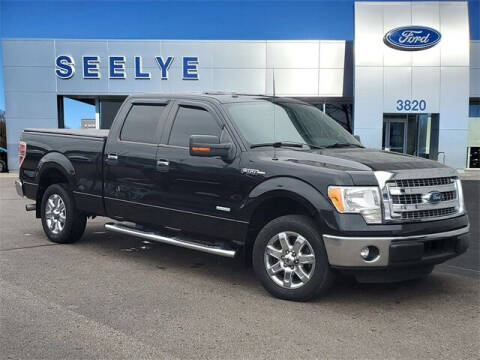2014 Ford F-150 for sale at Seelye Truck Center of Paw Paw in Paw Paw MI