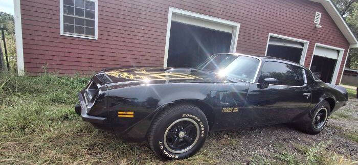 1975 Pontiac Firebird for sale at Classic Car Deals in Cadillac MI