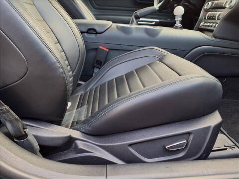 2019 Ford Mustang BULLITT