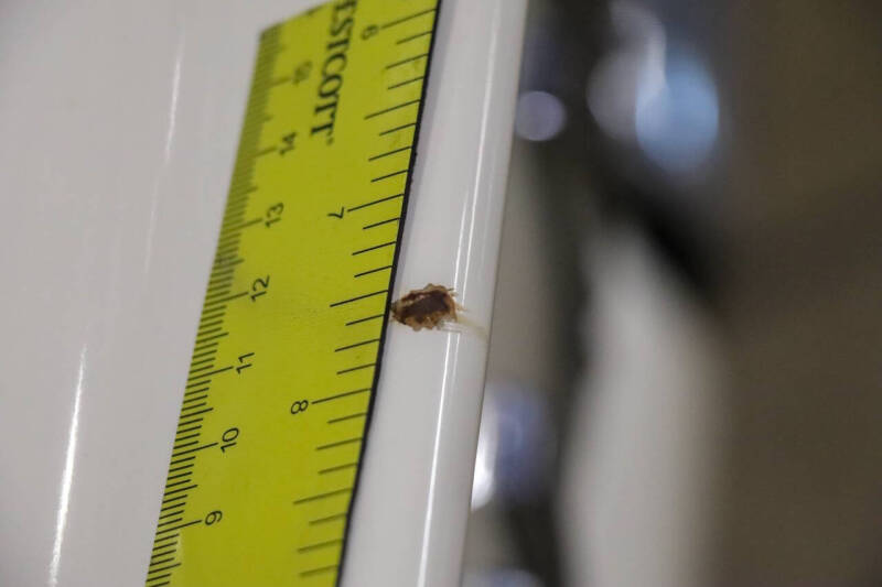 1960 Ford Thunderbird