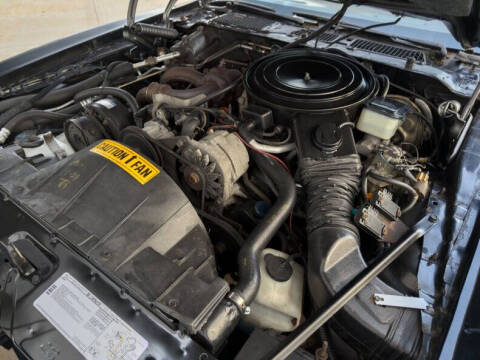 1981 Pontiac Firebird Trans Am