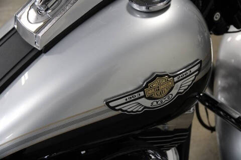 2003 Harley-Davidson SOFTAIL HE