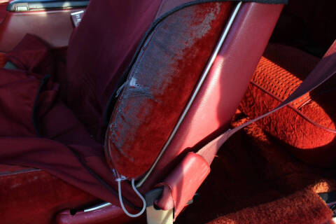 1979 Pontiac Firebird