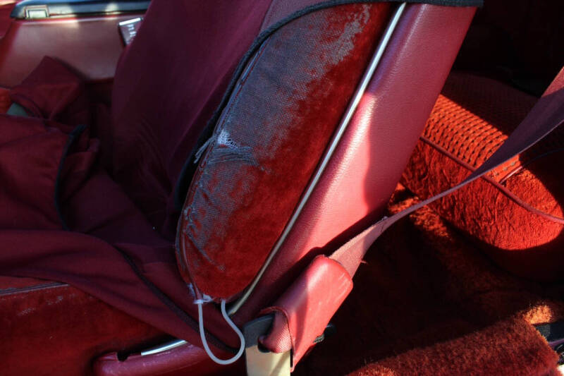 1979 Pontiac Firebird