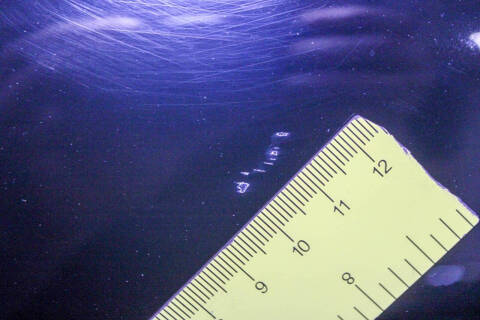 1991 Mercedes-Benz 500-Class 500 SL