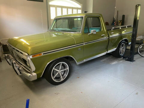 1976 Ford F-100 for sale at Bi Rite Auto Sales in Seaford DE