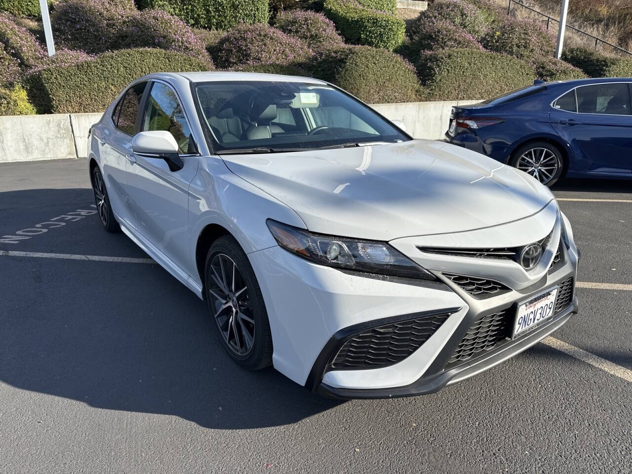 2024 Toyota Camry for sale at Envision Toyota of Milpitas in Milpitas, CA