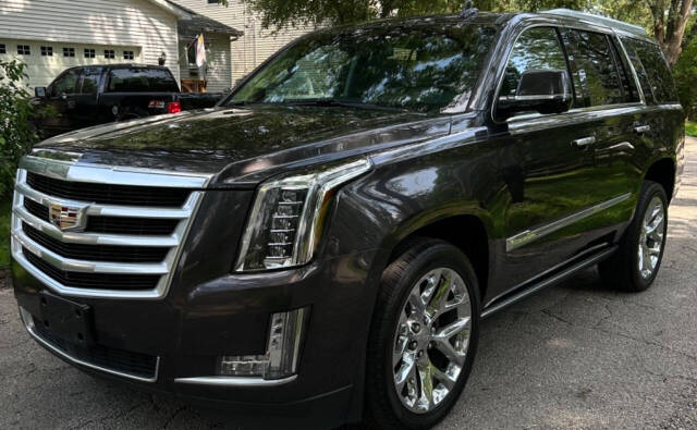 2016 Cadillac Escalade for sale at Quality Cars Of South Elgin in South Elgin, IL