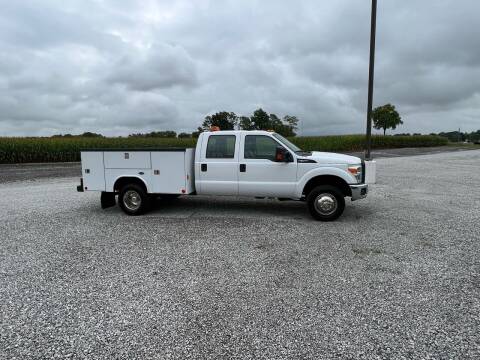 2015 Ford F-350 Super Duty for sale at MOES AUTO SALES in Spiceland IN