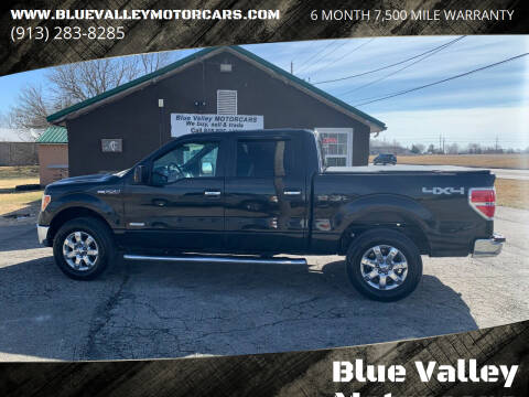 2014 Ford F-150 for sale at Blue Valley Motorcars in Stilwell KS