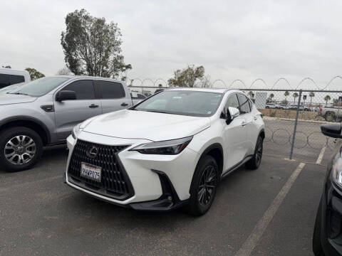 2024 Lexus NX 250