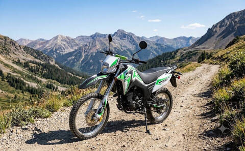 2023 Lifan KPX 250