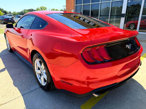 2019 Ford Mustang